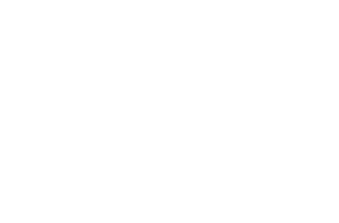 Realzale Programa